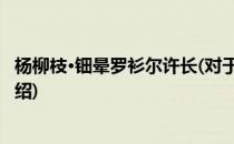 杨柳枝·钿晕罗衫尔许长(对于杨柳枝·钿晕罗衫尔许长简单介绍)