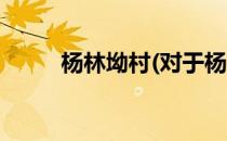 杨林坳村(对于杨林坳村简单介绍)