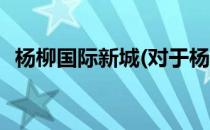 杨柳国际新城(对于杨柳国际新城简单介绍)