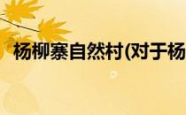 杨柳寨自然村(对于杨柳寨自然村简单介绍)