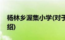 杨林乡渥集小学(对于杨林乡渥集小学简单介绍)