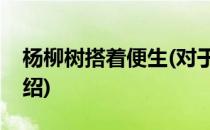 杨柳树搭着便生(对于杨柳树搭着便生简单介绍)