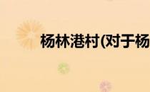 杨林港村(对于杨林港村简单介绍)