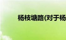 杨枝塘路(对于杨枝塘路简单介绍)