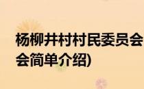 杨柳井村村民委员会(对于杨柳井村村民委员会简单介绍)