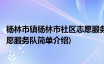 杨林市镇杨林市社区志愿服务队(对于杨林市镇杨林市社区志愿服务队简单介绍)