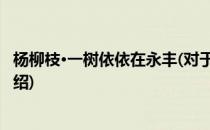 杨柳枝·一树依依在永丰(对于杨柳枝·一树依依在永丰简单介绍)