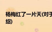 杨梅红了一片天(对于杨梅红了一片天简单介绍)