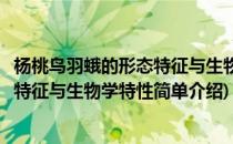 杨桃鸟羽蛾的形态特征与生物学特性(对于杨桃鸟羽蛾的形态特征与生物学特性简单介绍)
