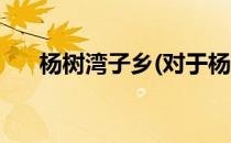 杨树湾子乡(对于杨树湾子乡简单介绍)