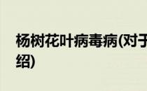 杨树花叶病毒病(对于杨树花叶病毒病简单介绍)