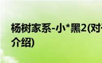 杨树家系-小*黑2(对于杨树家系-小*黑2简单介绍)