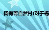 杨梅箐自然村(对于杨梅箐自然村简单介绍)