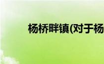 杨桥畔镇(对于杨桥畔镇简单介绍)