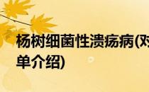 杨树细菌性溃疡病(对于杨树细菌性溃疡病简单介绍)