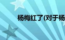 杨梅红了(对于杨梅红了简单介绍)