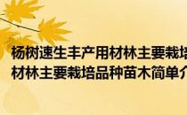 杨树速生丰产用材林主要栽培品种苗木(对于杨树速生丰产用材林主要栽培品种苗木简单介绍)