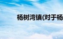 杨树湾镇(对于杨树湾镇简单介绍)