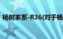 杨树家系-R36(对于杨树家系-R36简单介绍)