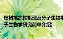 杨树抗冻性机理及分子生物学研究(对于杨树抗冻性机理及分子生物学研究简单介绍)