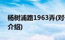 杨树浦路1963弄(对于杨树浦路1963弄简单介绍)