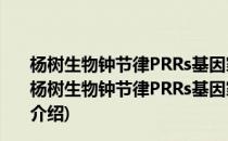 杨树生物钟节律PRRs基因家族的功能及调控机制研究(对于杨树生物钟节律PRRs基因家族的功能及调控机制研究简单介绍)
