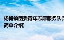杨梅镇团委青年志愿服务队(对于杨梅镇团委青年志愿服务队简单介绍)