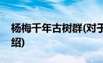 杨梅千年古树群(对于杨梅千年古树群简单介绍)