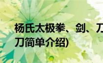 杨氏太极拳、剑、刀(对于杨氏太极拳、剑、刀简单介绍)