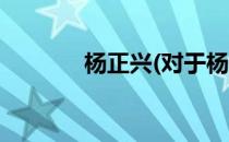 杨正兴(对于杨正兴简单介绍)