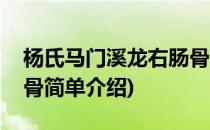 杨氏马门溪龙右肠骨(对于杨氏马门溪龙右肠骨简单介绍)