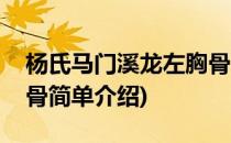 杨氏马门溪龙左胸骨(对于杨氏马门溪龙左胸骨简单介绍)