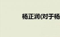 杨正润(对于杨正润简单介绍)