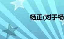 杨正(对于杨正简单介绍)