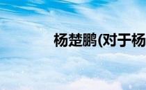 杨楚鹏(对于杨楚鹏简单介绍)