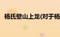 杨氏壁山上龙(对于杨氏壁山上龙简单介绍)