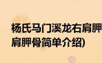 杨氏马门溪龙右肩胛骨(对于杨氏马门溪龙右肩胛骨简单介绍)