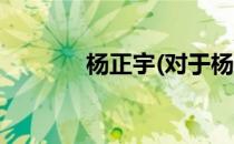 杨正宇(对于杨正宇简单介绍)