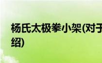 杨氏太极拳小架(对于杨氏太极拳小架简单介绍)