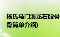 杨氏马门溪龙右股骨(对于杨氏马门溪龙右股骨简单介绍)