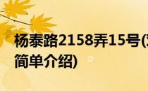 杨泰路2158弄15号(对于杨泰路2158弄15号简单介绍)