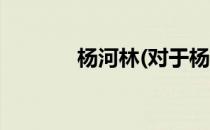 杨河林(对于杨河林简单介绍)