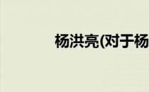 杨洪亮(对于杨洪亮简单介绍)