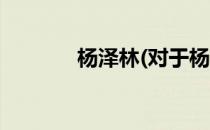 杨泽林(对于杨泽林简单介绍)