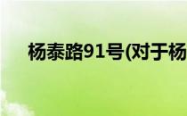 杨泰路91号(对于杨泰路91号简单介绍)