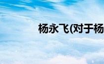 杨永飞(对于杨永飞简单介绍)