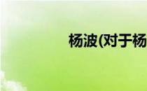 杨波(对于杨波简单介绍)