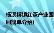 杨溪桥镇红茶产业园(对于杨溪桥镇红茶产业园简单介绍)