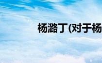 杨潞丁(对于杨潞丁简单介绍)
