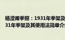 杨澄甫拳照：1931年拳架及其使用法(对于杨澄甫拳照：1931年拳架及其使用法简单介绍)